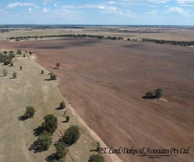 Collie NSW 2827