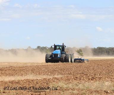 Collie NSW 2827