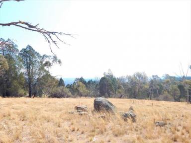 Farm For Sale - NSW - Cooma - 2630 - 52 HA - 129 Acres - Creek Location  (Image 2)