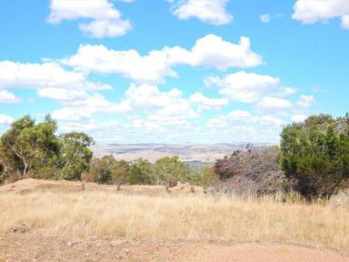 Farm For Sale - NSW - Cooma - 2630 - 52 HA - 129 Acres - Creek Location  (Image 2)