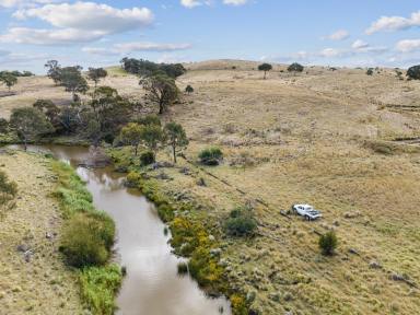 Farm Sold - NSW - Yass River - 2582 - Most affordable 1.3km on the Yass River - Expression of Interest Closing Friday 28th April  (Image 2)