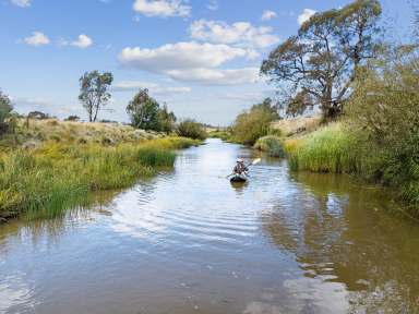 Farm Sold - NSW - Yass River - 2582 - Most affordable 1.3km on the Yass River - Expression of Interest Closing Friday 28th April  (Image 2)