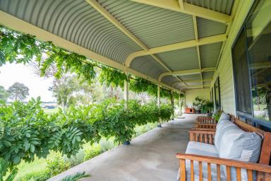 Farm Sold - NSW - Cowra - 2794 - Immaculate Family Home, Set on 6.7acres* On The Outskirts of Town!  (Image 2)