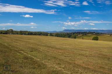 Farm Sold - QLD - Beaudesert - 4285 - Birnam Range Estate - Lot 12, 13 and 16 - Only 1 left!  (Image 2)