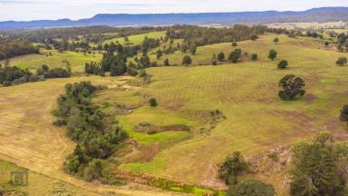 Farm For Sale - QLD - Beaudesert - 4285 - Lot 14, Birnam Range Estate  (Image 2)