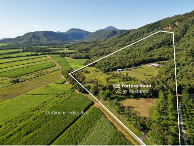 Farm Sold - QLD - Port Douglas - 4877 - SETTING A NEW STANDARD FOR TROPICAL LIVING | SPECTACULAR VIEWS  (Image 2)