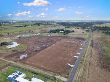 Farm Sold - QLD - Kalkie - 4670 - 4050m2 WITH NEW FENCING AND FLOOD FREE  (Image 2)