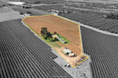 Farm Sold - VIC - Red Cliffs - 3496 - LIFESTYLE WITH AN INCOME  (Image 2)
