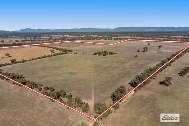 Farm Sold - VIC - Stawell - 3380 - Sheep, Cattle, Cropping, Passive Income - 420 Acres With An Architecturally Designed Home Just Minutes From Stawell.  (Image 2)