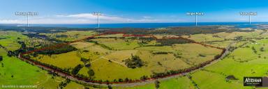 Farm Sold - NSW - Bergalia - 2537 - Bergalia Park … 659 Acres    
Iconic Coastal Landmark.  (Image 2)