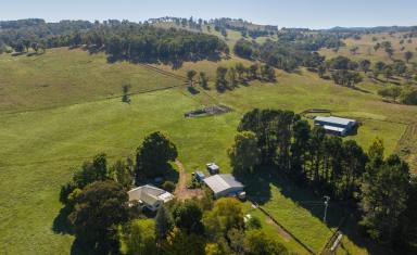 Farm Sold - NSW - Walcha - 2354 - AUCTION POSTPONED - PITCALNIE, WALCHA - ENQUIRIES STILL WELCOME  (Image 2)