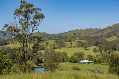 Farm For Sale - NSW - Kempsey - 2440 - "ARROWDELL" Nulla Nulla Creek Rd, Bellbrook (via Kempsey) 2440  (Image 2)