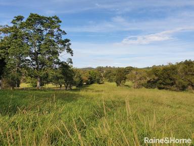 Farm Sold - QLD - Cooran - 4569 - SOLD BY RAINE & HORNE NOOSA HINTERLAND  (Image 2)