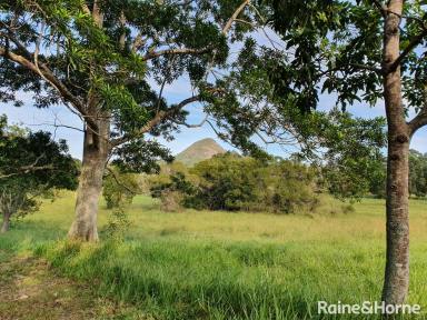Farm Sold - QLD - Cooran - 4569 - SOLD BY RAINE & HORNE NOOSA HINTERLAND  (Image 2)