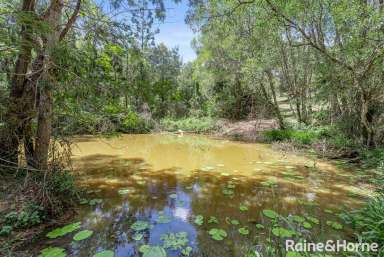 Farm Sold - QLD - Ridgewood - 4563 - Sold By Raine & Horne Noosa Hinterland  (Image 2)