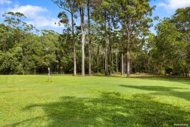 Farm Sold - QLD - Lake Macdonald - 4563 - Sold By Raine & Horne Noosa Hinterland  (Image 2)