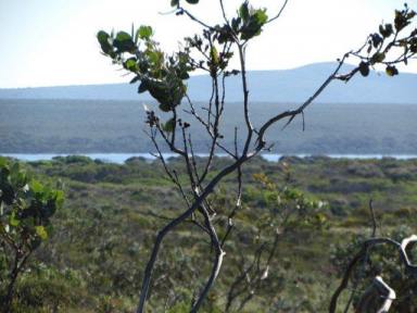 Farm For Sale - WA - Hopetoun - 6348 - Exceptional Opportunity with Stunning Views  (Image 2)