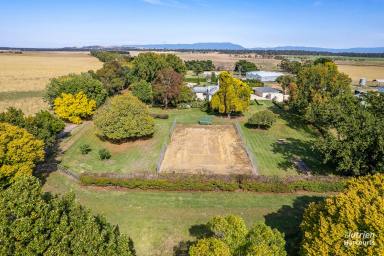 Farm For Sale - TAS - Epping Forest - 7211 - "Esk Vale Homestead" South Esk River Frontage in Northern Tasmania.  (Image 2)