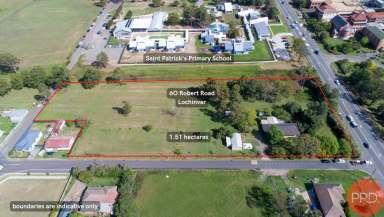 Farm Sold - NSW - Lochinvar - 2321 - CALLING ALL DEVELOPERS!  (Image 2)