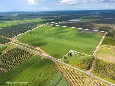Farm Sold - QLD - North Isis - 4660 - ISIS RED AND GREY SOIL FARM  (Image 2)