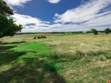 Farm Sold - NSW - Aldavilla - 2440 - Productive Block with Great Location: 7Ha in Aldavilla  (Image 2)