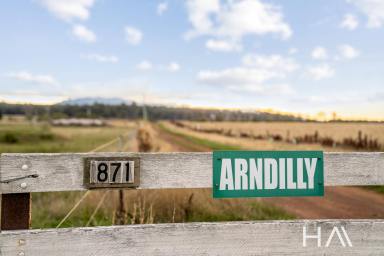 Farm Sold - TAS - Cressy - 7302 - Arndilly - A Northern Midlands Opportunity With A Strong Background  (Image 2)