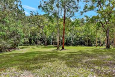 Farm Sold - NSW - Laguna - 2325 - Yengo National Park Wilderness Retreat!  (Image 2)