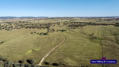 Farm Sold - NSW - Wellington - 2820 - First Time Offered in 130 Years  (Image 2)
