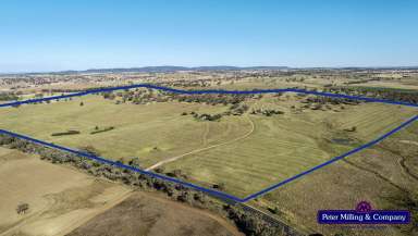 Farm Sold - NSW - Wellington - 2820 - First Time Offered in 130 Years  (Image 2)