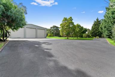 Farm Sold - VIC - Langwarrin - 3910 - 2 Homes with Business Potential  (Image 2)
