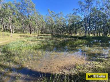 Farm Sold - NSW - Upper Fine Flower - 2460 - RURAL WEEKENDER, HORSE PADDOCK, NEW HOME LOCATION  (Image 2)