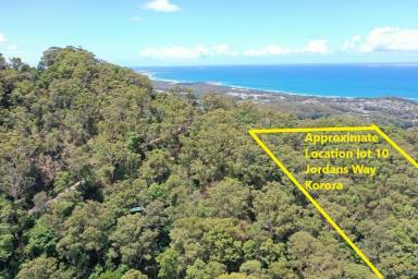 Farm Sold - NSW - Korora - 2450 - Vacant Land/Unique 2.17 ha Rainforest  (Image 2)