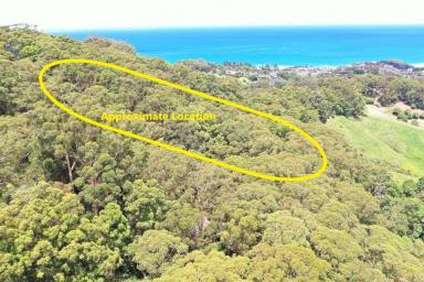 Farm Sold - NSW - Korora - 2450 - Vacant Land/Unique 2.17 ha Rainforest  (Image 2)