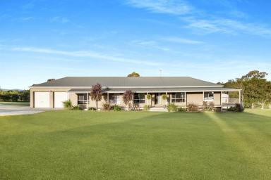 Farm Sold - NSW - Nowra Hill - 2540 - Reimagined Semi-Rural Living Without Compromise  (Image 2)