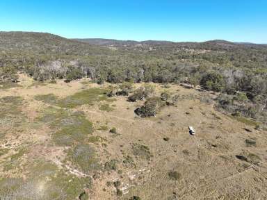 Farm Sold - NSW - Dundee - 2370 - PRICE SLASHED TO $235,000.   Slice of the Iconic Australian Bush  (Image 2)