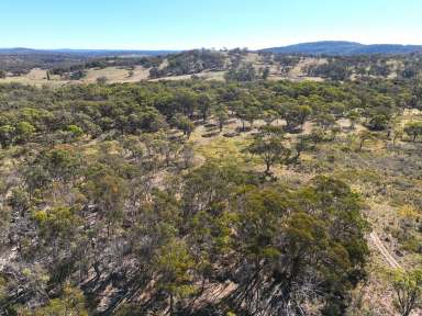 Farm Sold - NSW - Dundee - 2370 - PRICE SLASHED TO $235,000.   Slice of the Iconic Australian Bush  (Image 2)