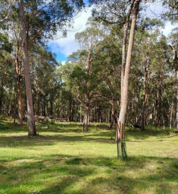 Farm Sold - NSW - Tuross - 2630 - 100 Acres - Small Cottage & Sheds - Building Entitlement  (Image 2)