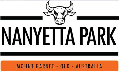 Mount Garnet QLD 4872