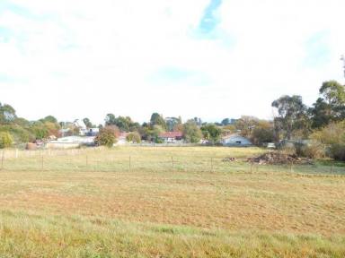 Farm Sold - NSW - Nimmitabel - 2631 - Big, Quiet Village Block  (Image 2)