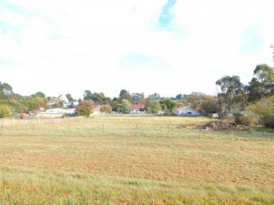 Farm Sold - NSW - Nimmitabel - 2631 - Big, Quiet Village Block  (Image 2)