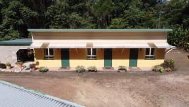 Farm Sold - QLD - Lake Eacham - 4884 - Rain Forest Home with BnB Potential  (Image 2)