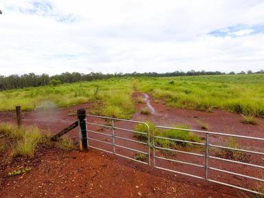 Farm Sold - QLD - Owanyilla - 4650 - Quality Farming or Grazing Land  (Image 2)