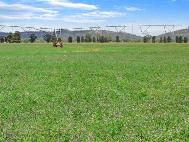 Farm Sold - NSW - Condobolin - 2877 - First-Class Irrigation, Dryland Cropping and Grazing  (Image 2)