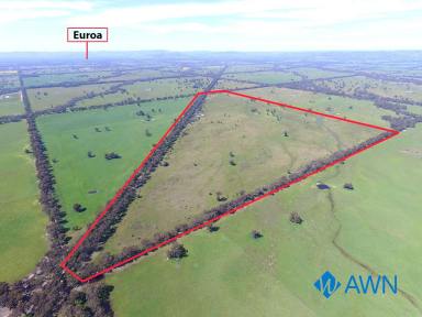 Farm For Sale - VIC - Pranjip - 3666 - VACANT 346 Ac RURAL PROPERTY  (Image 2)