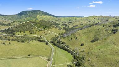 Farm Sold - QLD - Chinghee Creek - 4285 - 75 Acres of Land on the Creek  (Image 2)