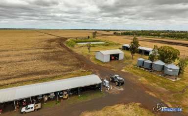 Farm Auction - QLD - Dalby - 4405 - Secure Production with  Idyllic Lifestyle  (Image 2)