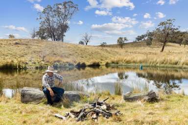 Farm Sold - NSW - Sutton - 2620 - Vendors bought at Coast ... Need to sell after 26 years  (Image 2)