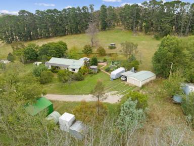 Farm Sold - NSW - Sutton - 2620 - Vendors bought at Coast ... Need to sell after 26 years  (Image 2)