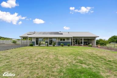 Farm Sold - VIC - Woodside Beach - 3874 - LIVE YOUR BEST LIFE AT WOODSIDE BEACH!  (Image 2)