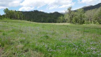 Farm Sold - NSW - Rocky River - 2372 - ROCKY RIVER STATION  (Image 2)